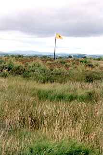 Flag marking government line at Culloden Moor