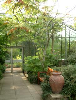 Botanic Gardens, Dundee