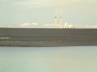 Cockenzie Power Station from the Musselburgh Ash Lagoons