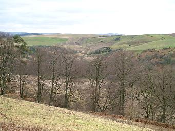 Valley of the Tyne Water at Crichton