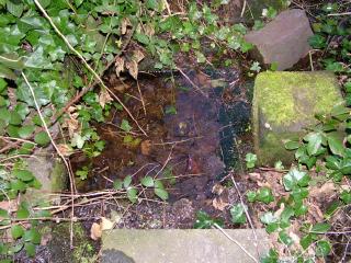 St Baldred's Well, Preston