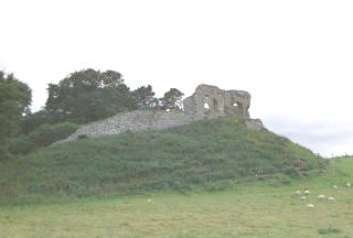 Skelbo Castle