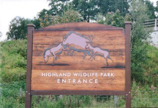 Highland Wildlife Park, Kincraig