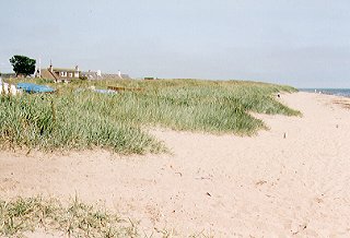 Beach at East Haven