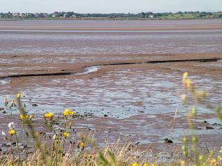 Solway Firth